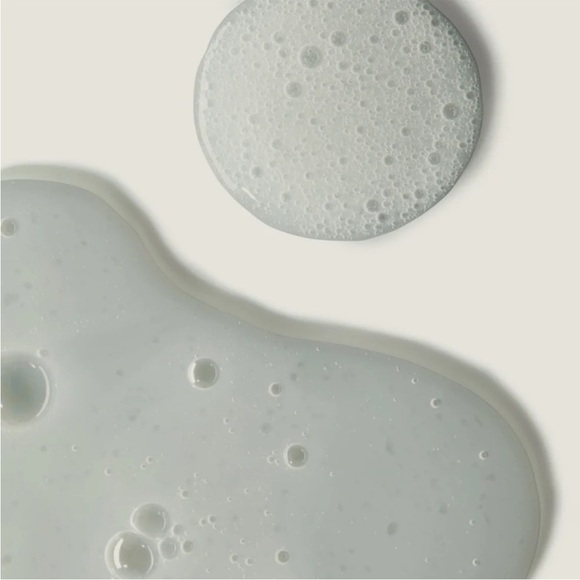 TwentyNine PALMS Desert Tumbleweed Cleansing Shampoo 16.9 fl oz / 500 ml NIB - Picture 3 of 10